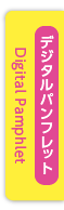 日本語版